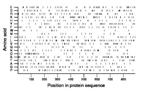 amino acid map