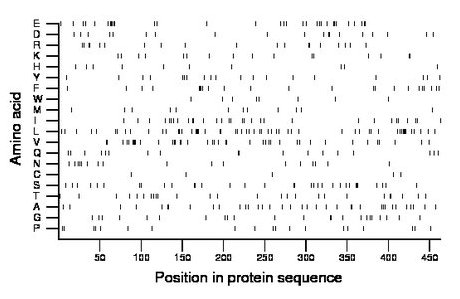 amino acid map