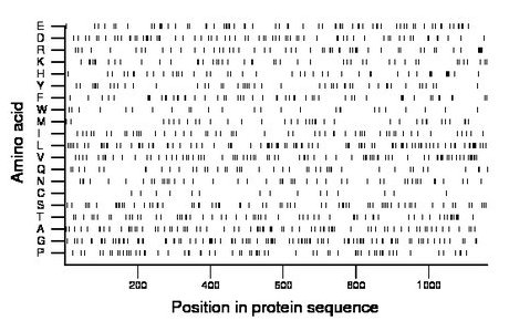 amino acid map