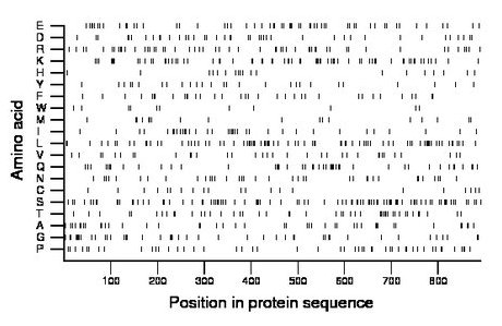 amino acid map