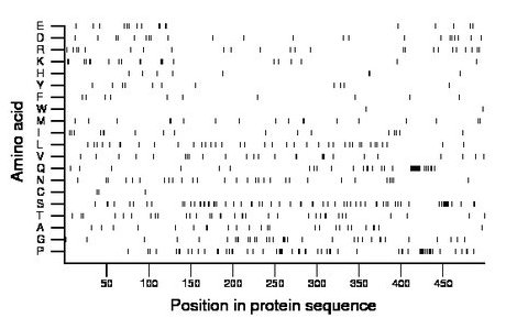 amino acid map