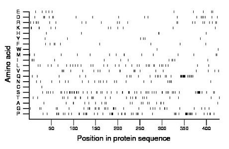 amino acid map