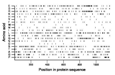 amino acid map