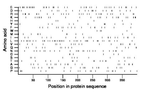 amino acid map