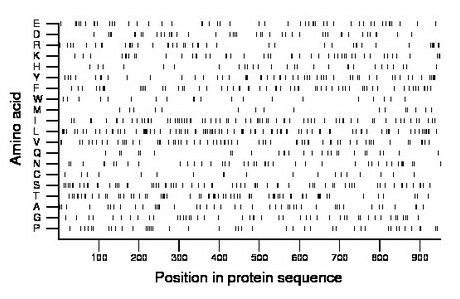 amino acid map