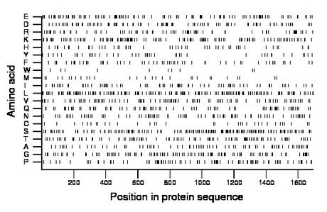 amino acid map