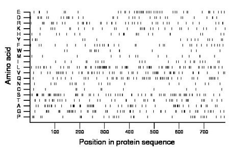 amino acid map