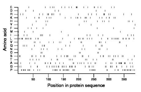 amino acid map