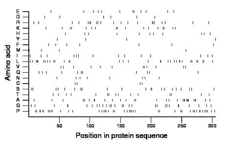 amino acid map