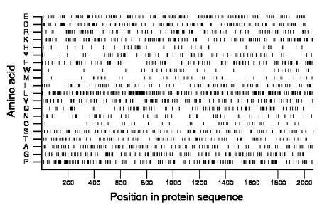 amino acid map