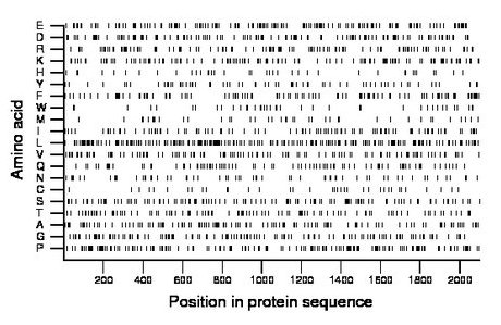 amino acid map