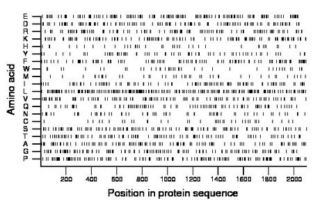 amino acid map