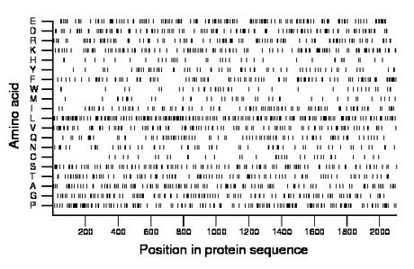 amino acid map