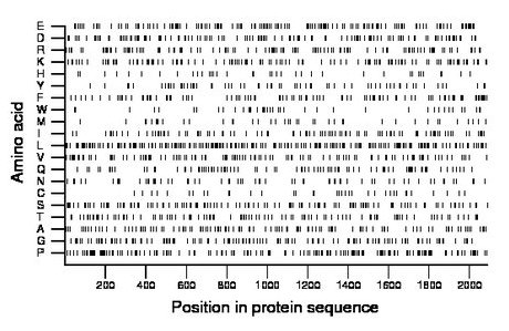 amino acid map