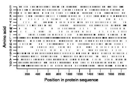 amino acid map