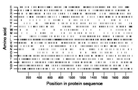 amino acid map