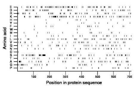 amino acid map