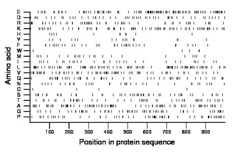 amino acid map