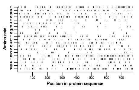 amino acid map