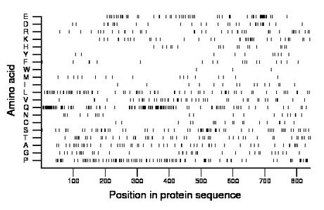 amino acid map