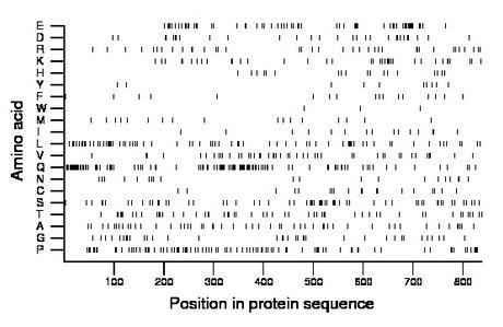 amino acid map