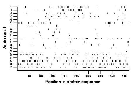 amino acid map