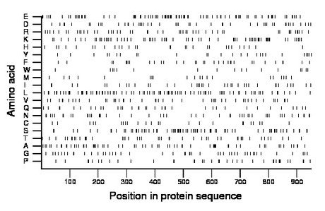 amino acid map