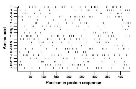 amino acid map