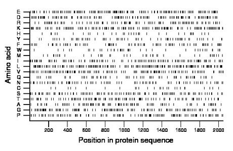 amino acid map