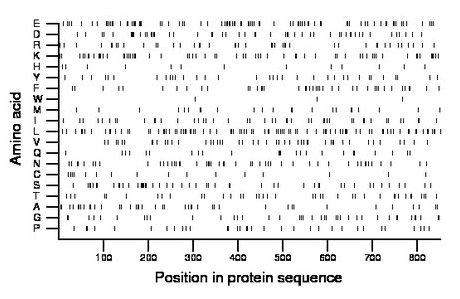 amino acid map