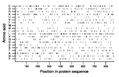 amino acid map