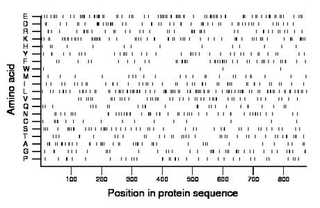 amino acid map