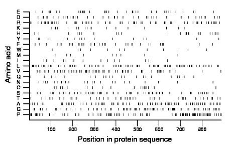 amino acid map