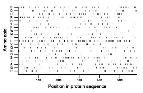 amino acid map