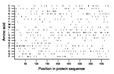 amino acid map