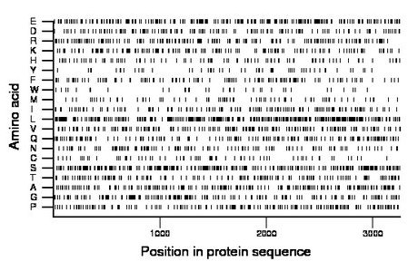 amino acid map