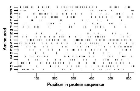 amino acid map