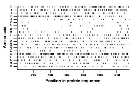 amino acid map