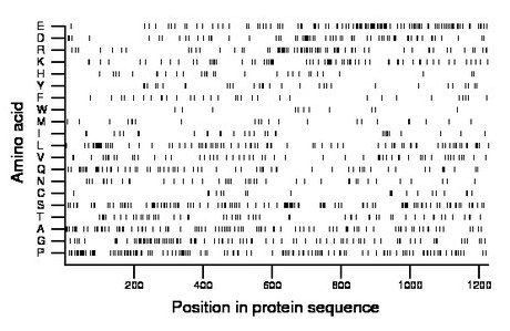 amino acid map