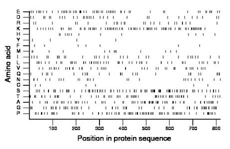 amino acid map