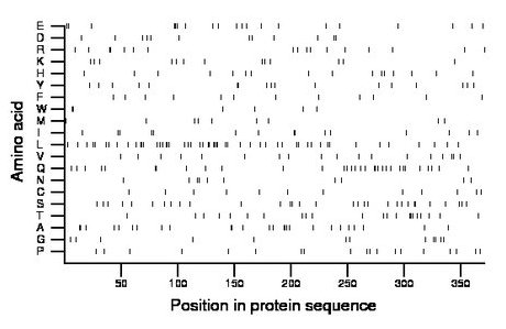 amino acid map