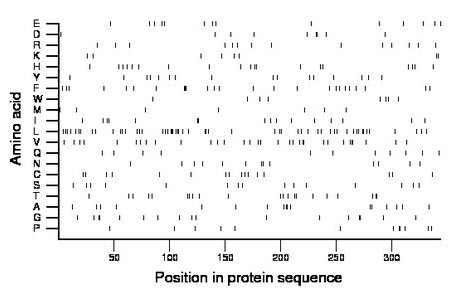 amino acid map