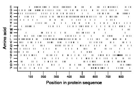 amino acid map