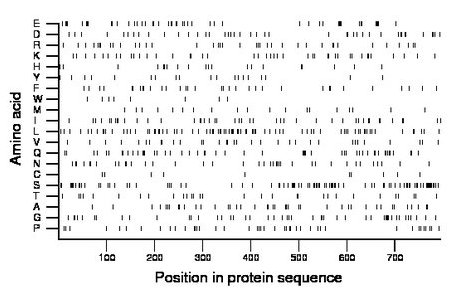 amino acid map