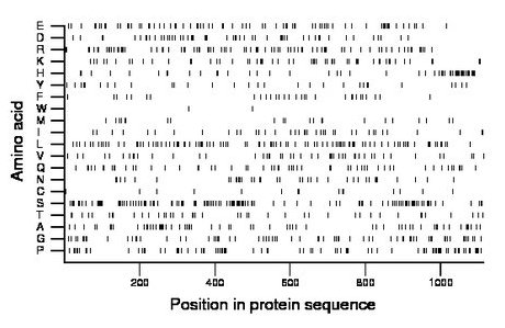 amino acid map