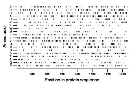 amino acid map