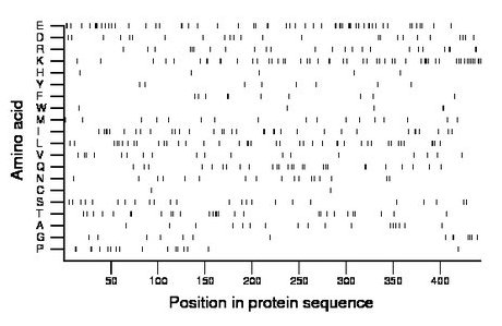 amino acid map