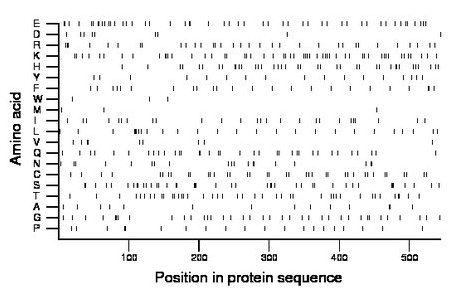 amino acid map