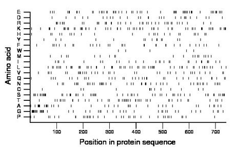 amino acid map