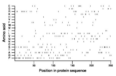 amino acid map